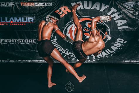 tiger muay thai thailand|tiger muay thai online.